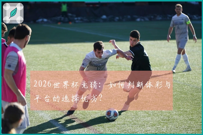 2026世界杯竞猜:如何判断体彩与平台的选择优劣?